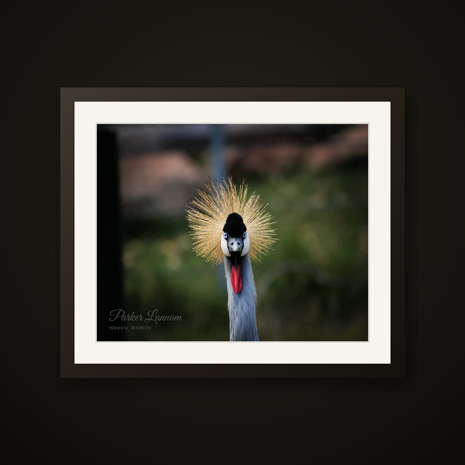 The Crown shown as a Fine-art paper