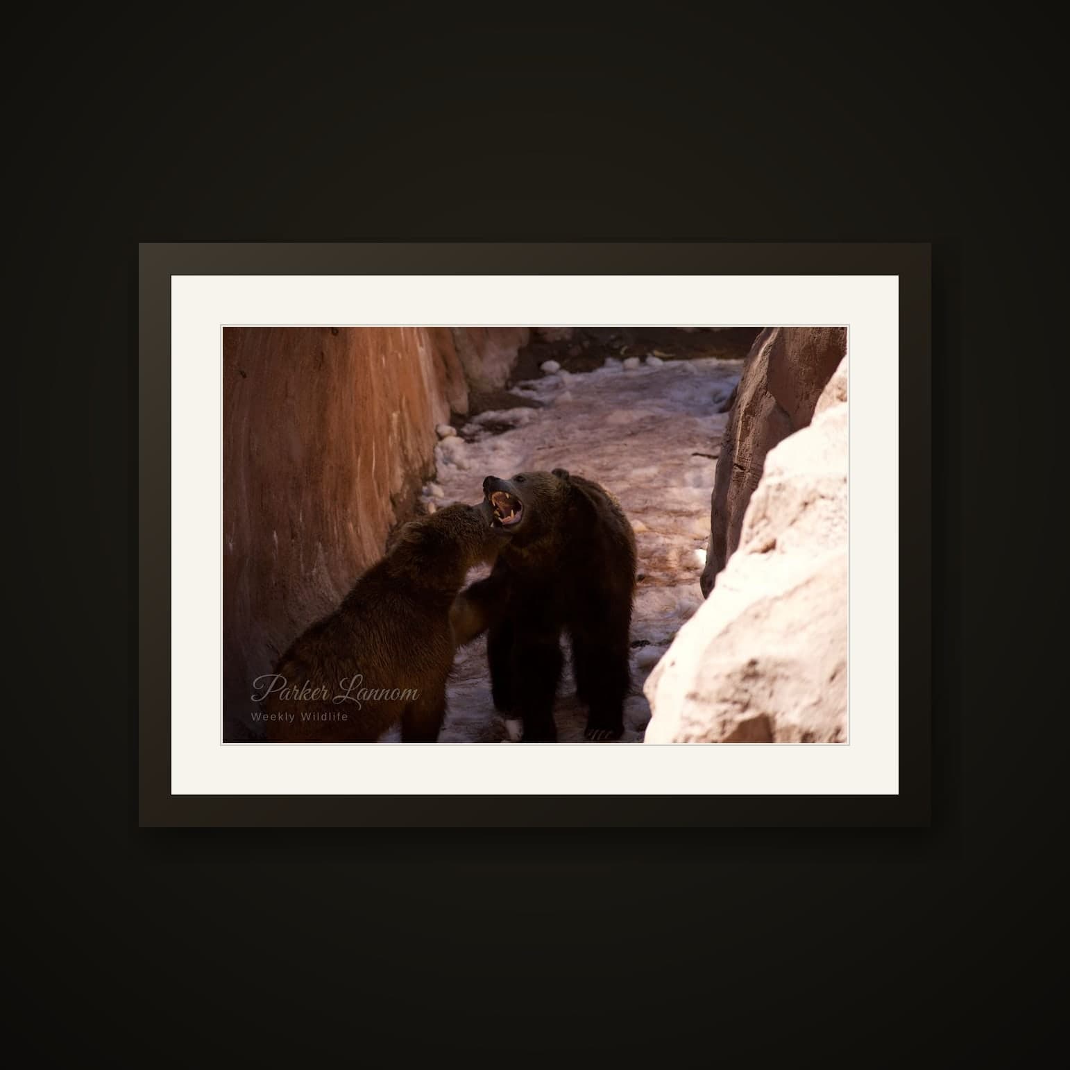The Standoff shown as a Fine-art paper